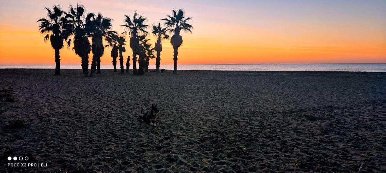 Encantador Apto En La Playa Coma-ruga Εξωτερικό φωτογραφία