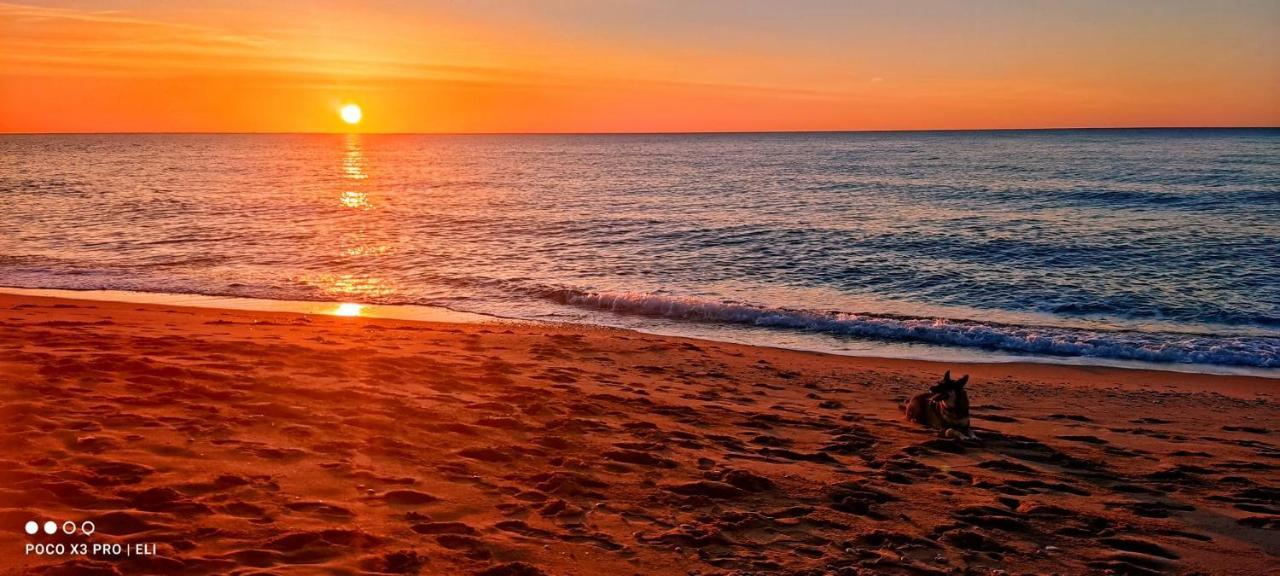 Encantador Apto En La Playa Coma-ruga Εξωτερικό φωτογραφία